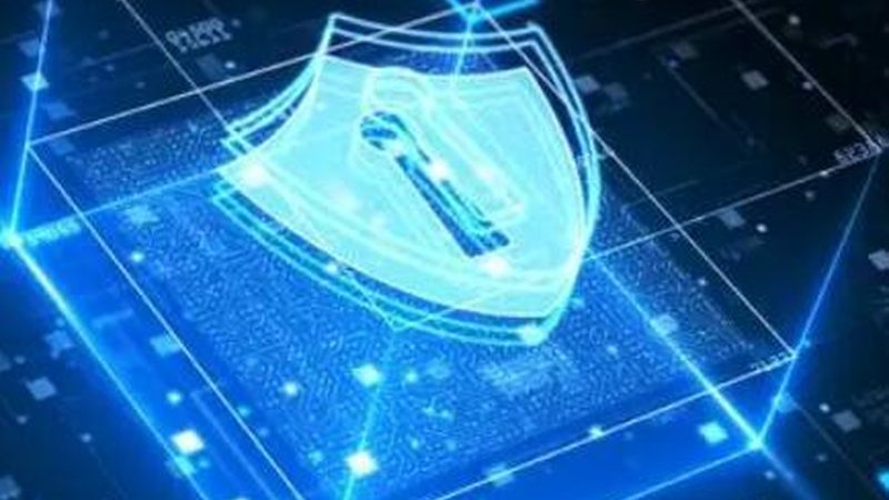 网络维护培训实战项目：构建稳定IT环境的基石