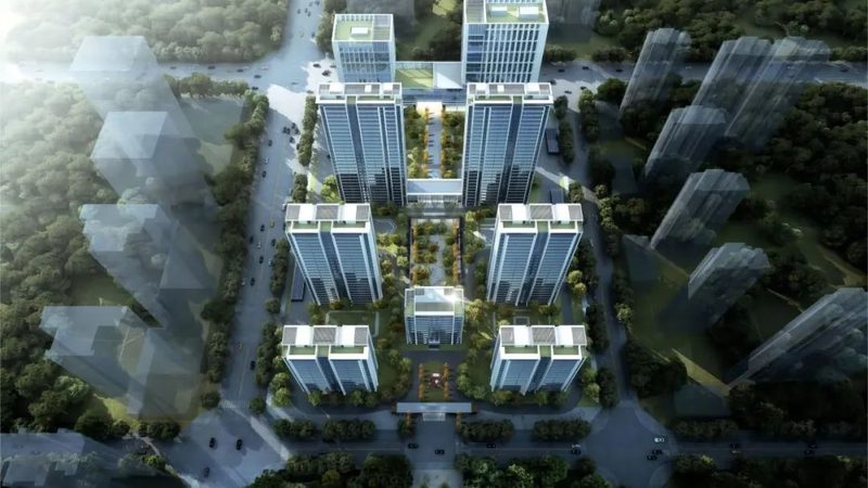 创业选择：小型科技公司还是信息技术公司？**